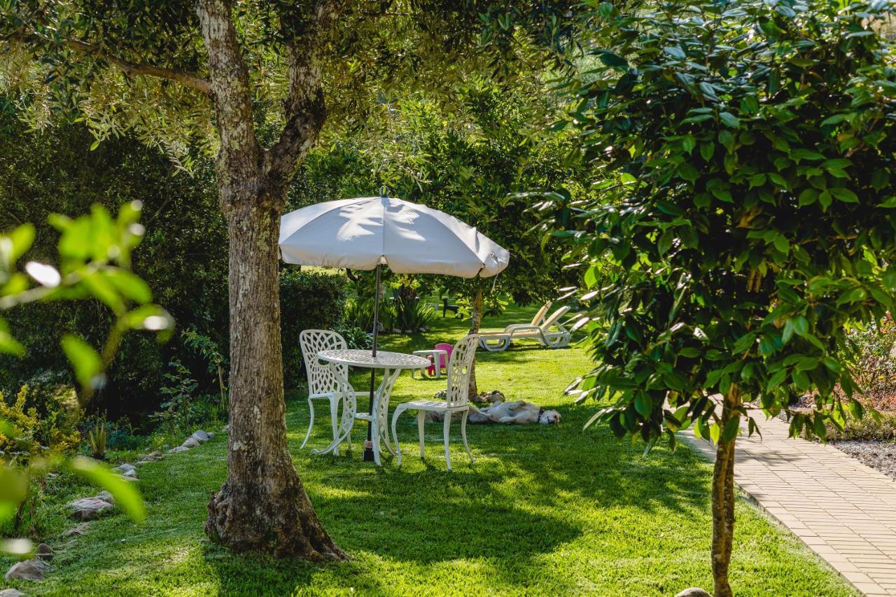 Magnolias Cottage Lousã Exteriör bild